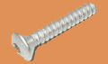 <strong><span style='font-size: 12px;'>6 LOBE DRIVE RAISED COUNTERSUNK SELF TAPPING SCREWS</span></strong>